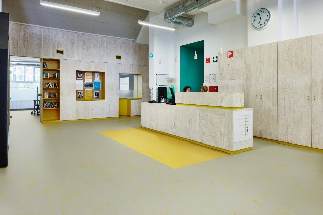 Marmoleum Solid