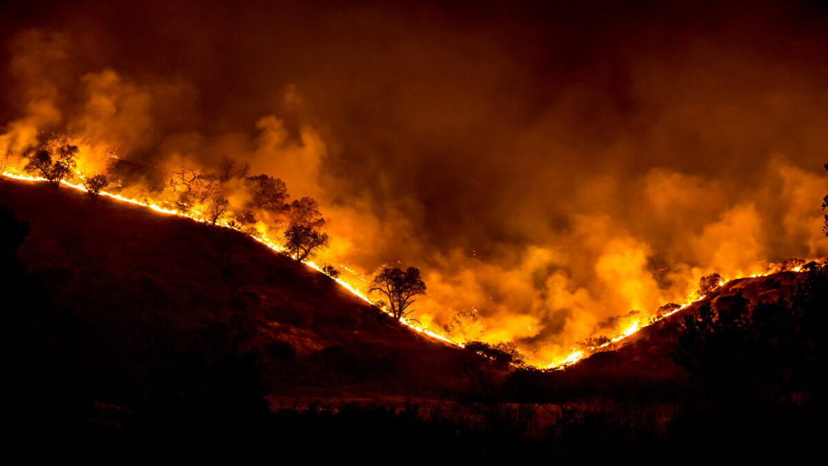 wildfire image