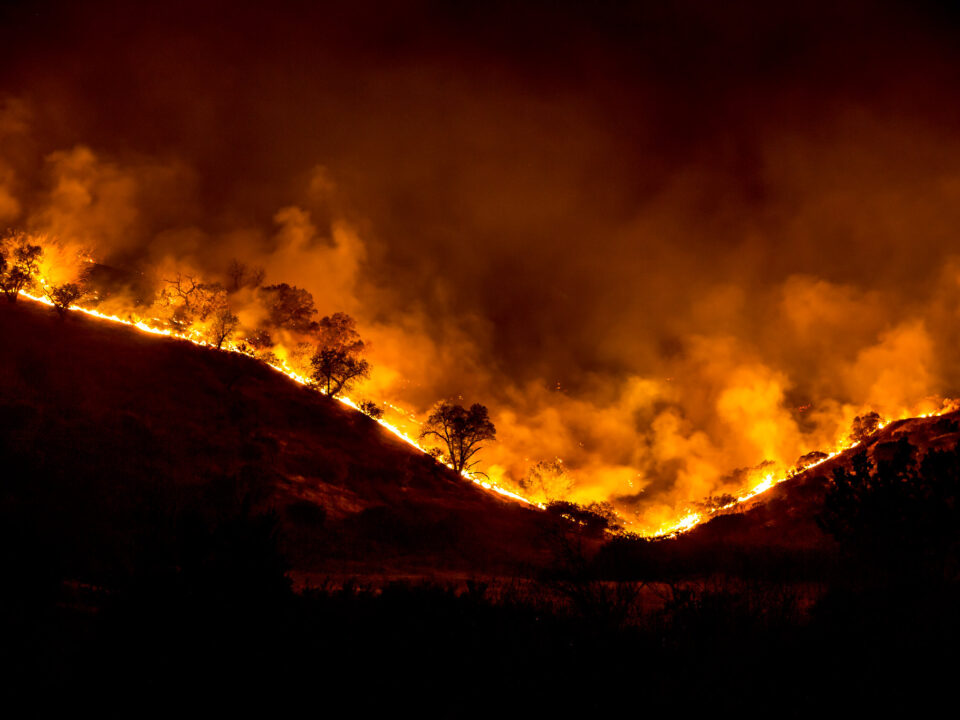 wildfire image